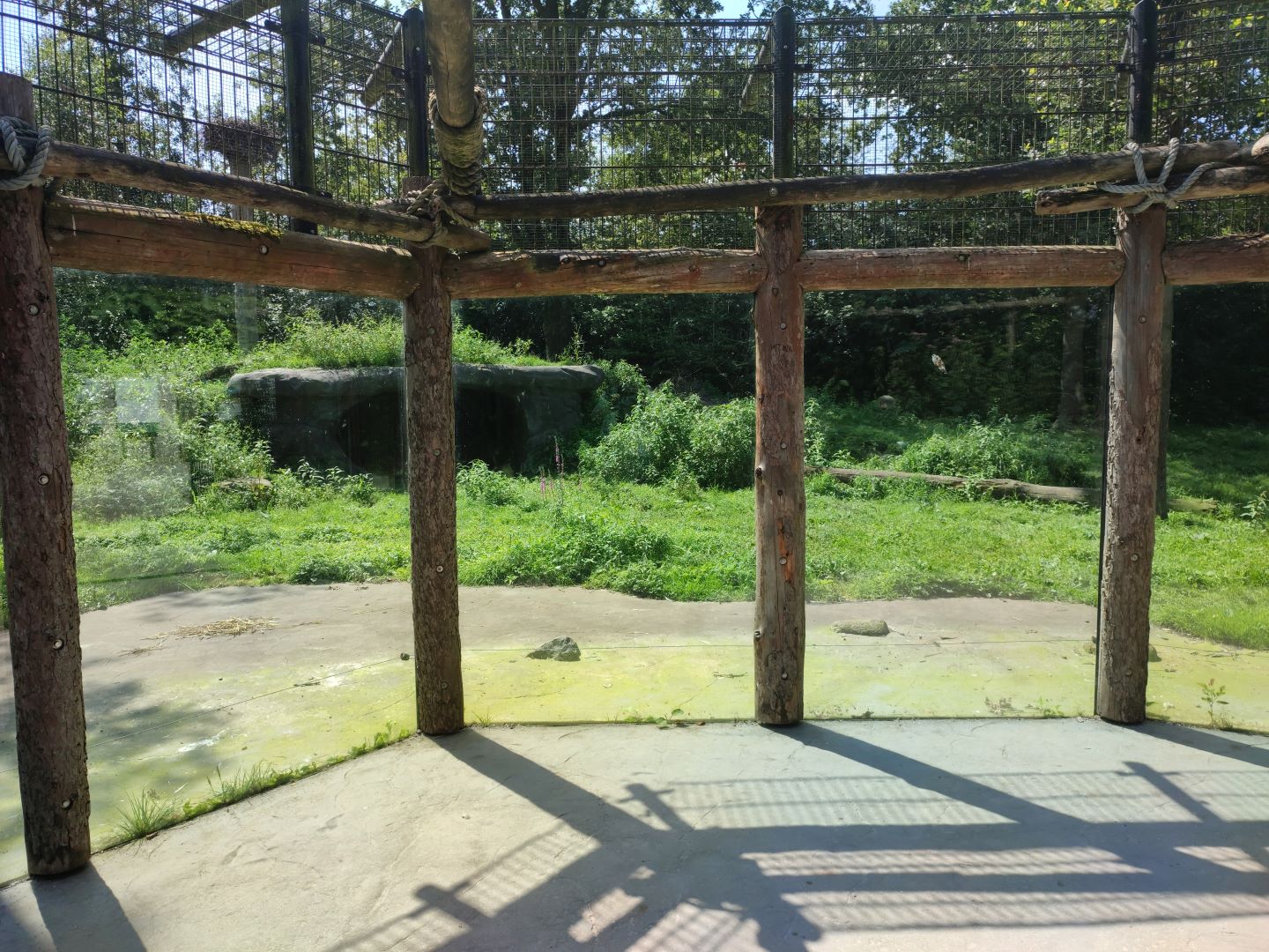 Churchill - polar bears, second enclosure