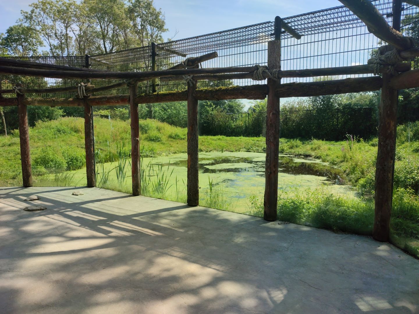 Churchill - polar bears, second enclosure