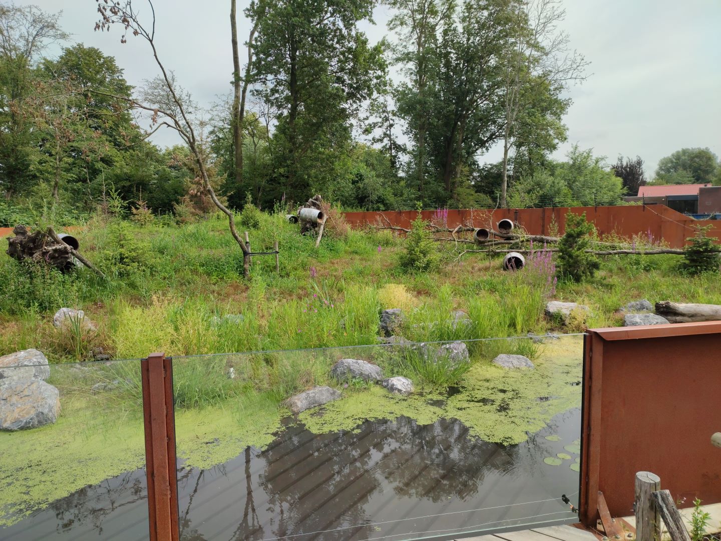 Churchill - raccoon enclosure