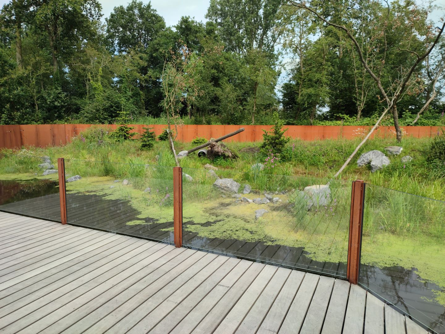 Churchill - raccoon enclosure