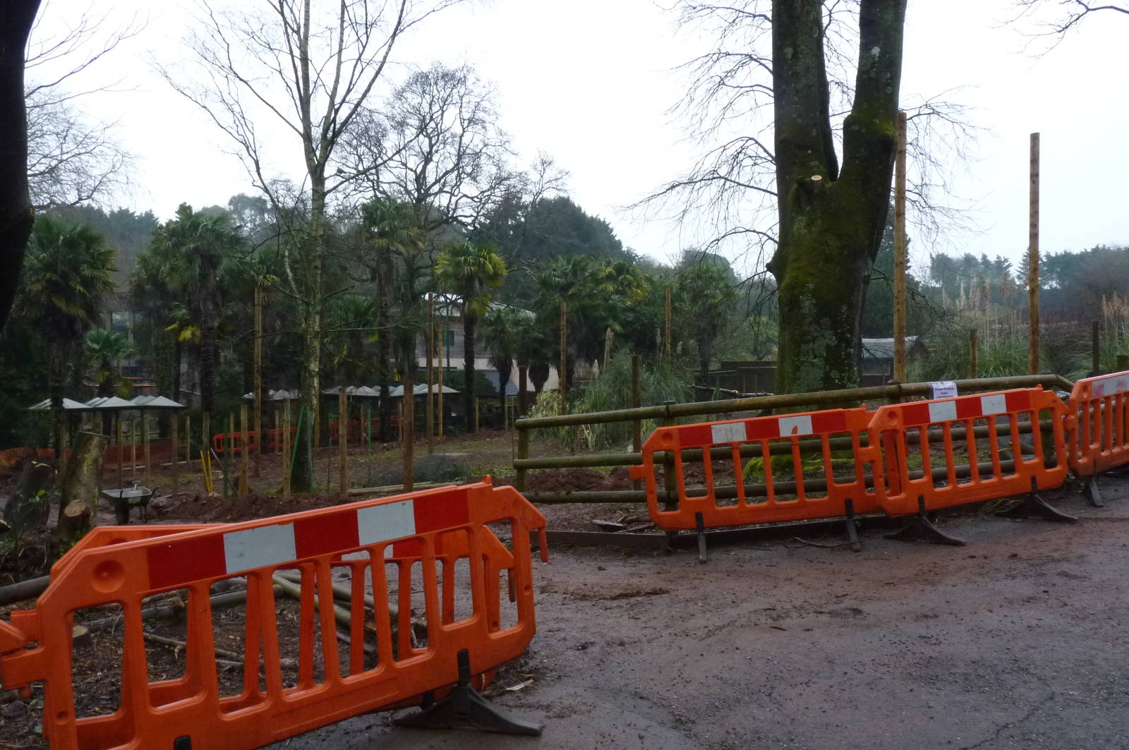 Chusan Paddock, 23 January 2013