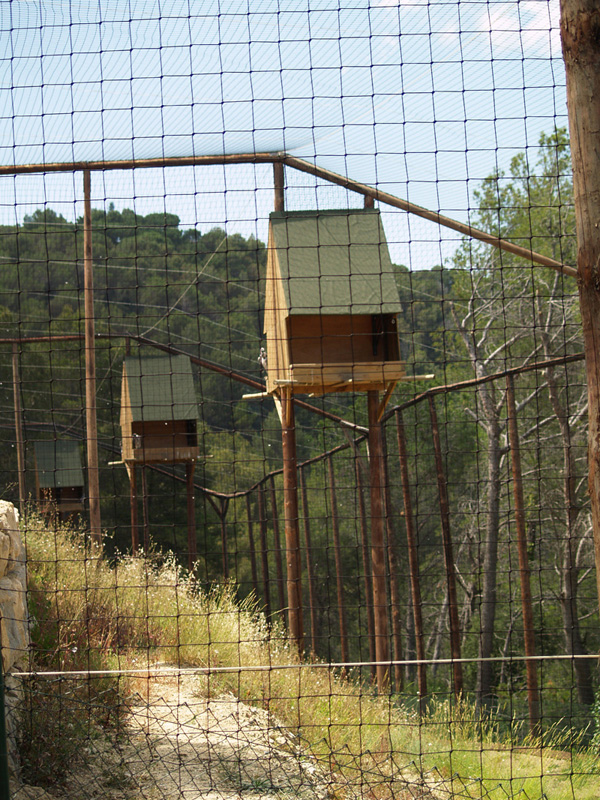 Cim d'Àligues - Aviaries
