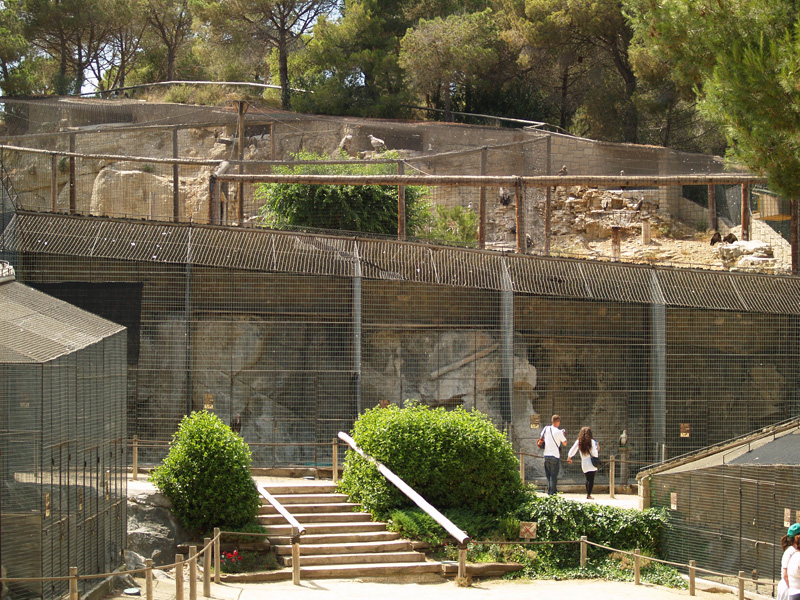 Cim d'Àligues - Aviaries