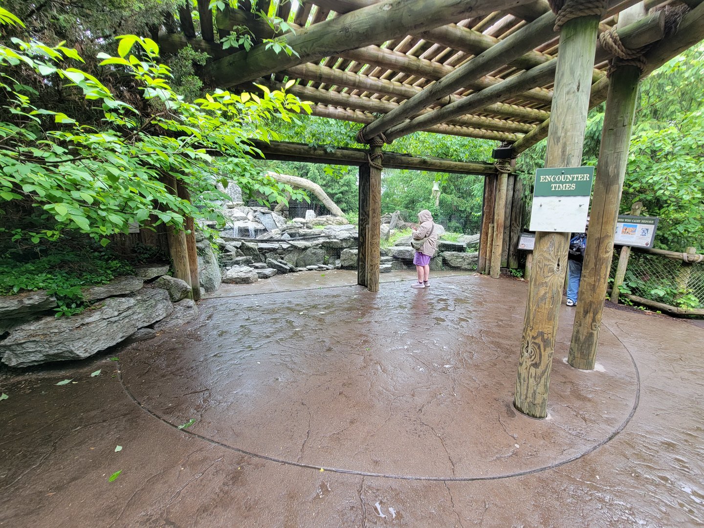 Cincinnati 5/22 - Cat Canyon, mountain lion