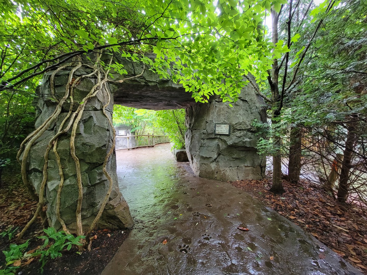 Cincinnati 5/22 - Cat Canyon, path