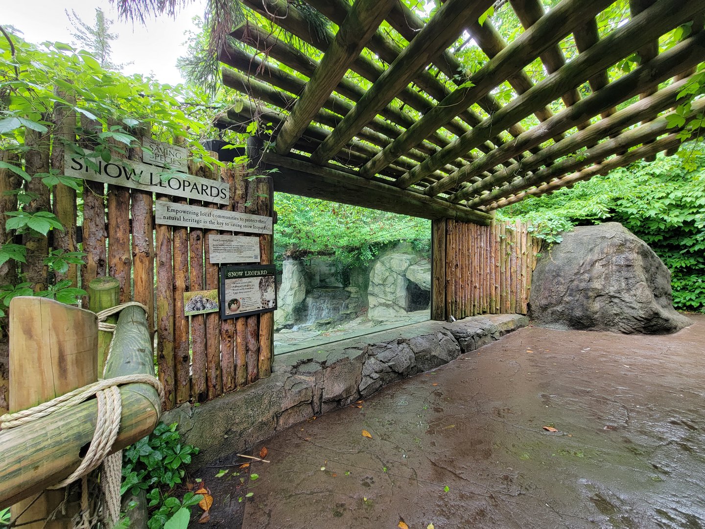 Cincinnati 5/22 - Cat Canyon, snow leopards