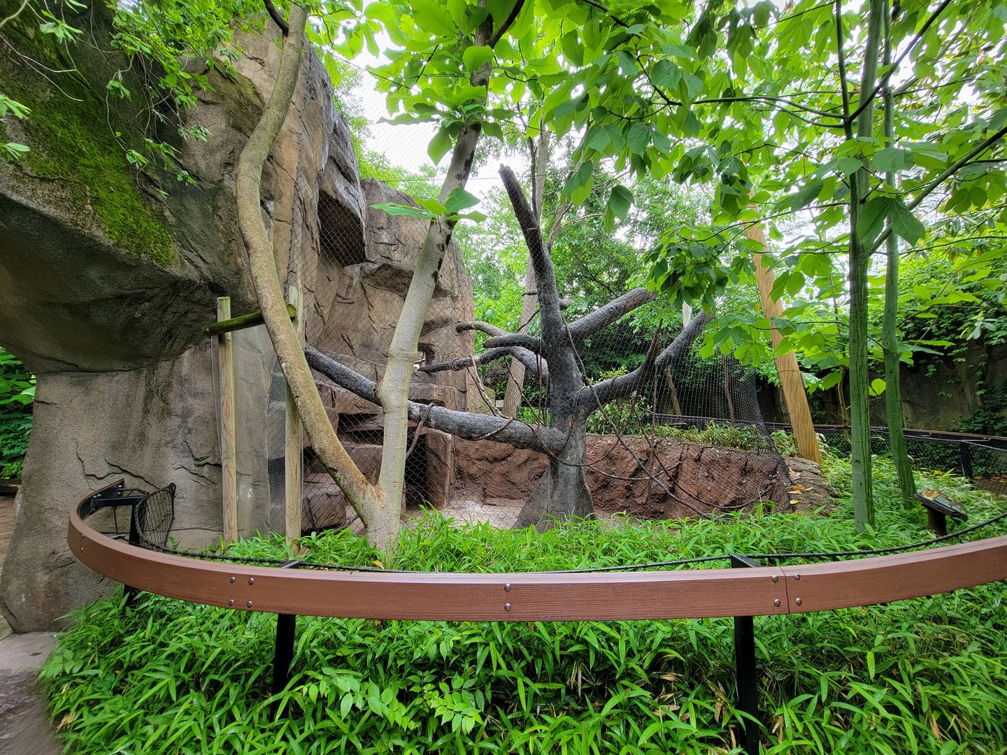 Cincinnati 5/22 - Gorilla World, guereza colobus