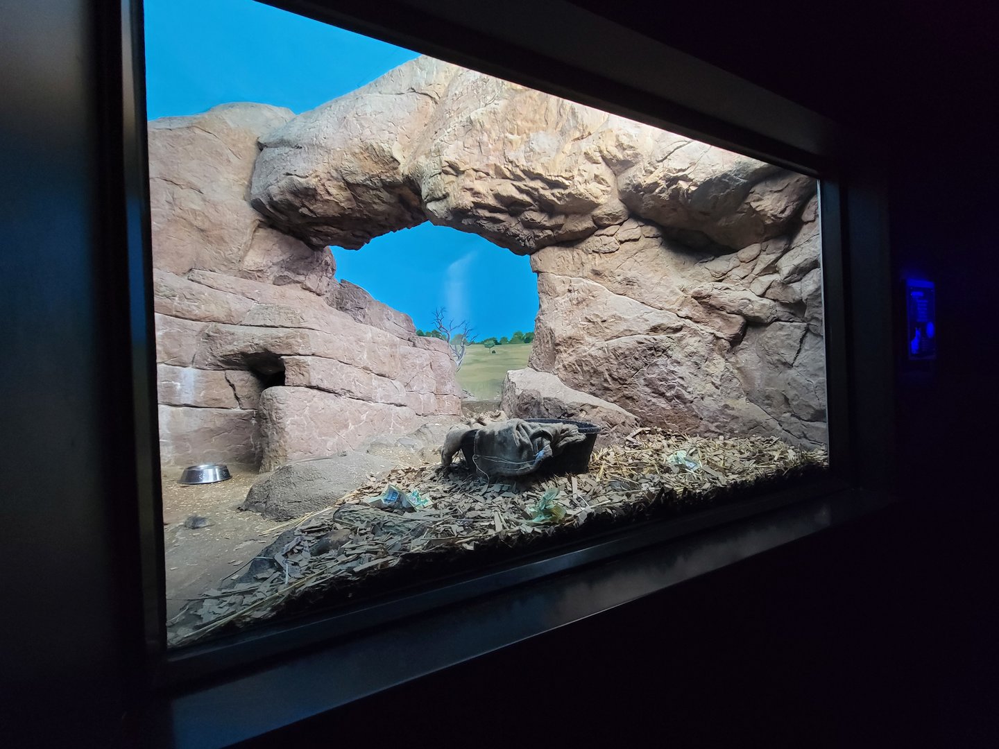 Cincinnati 5/22 - Night Hunters, Aardwolf