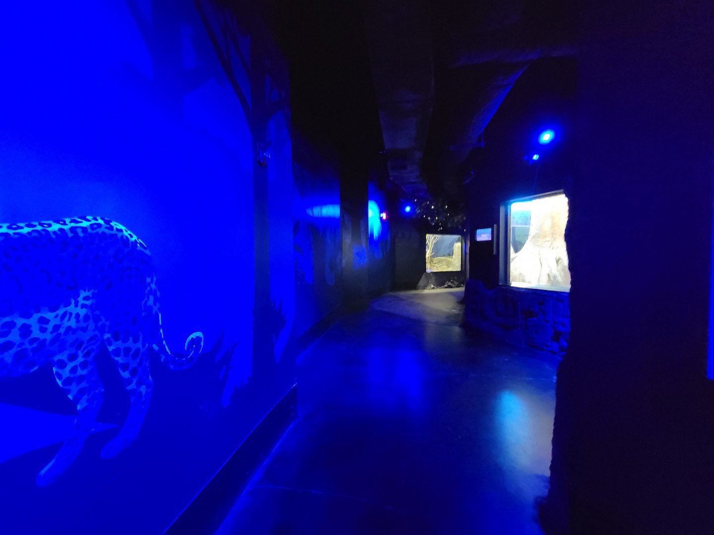 Cincinnati 5/22 - Night Hunters, hallway