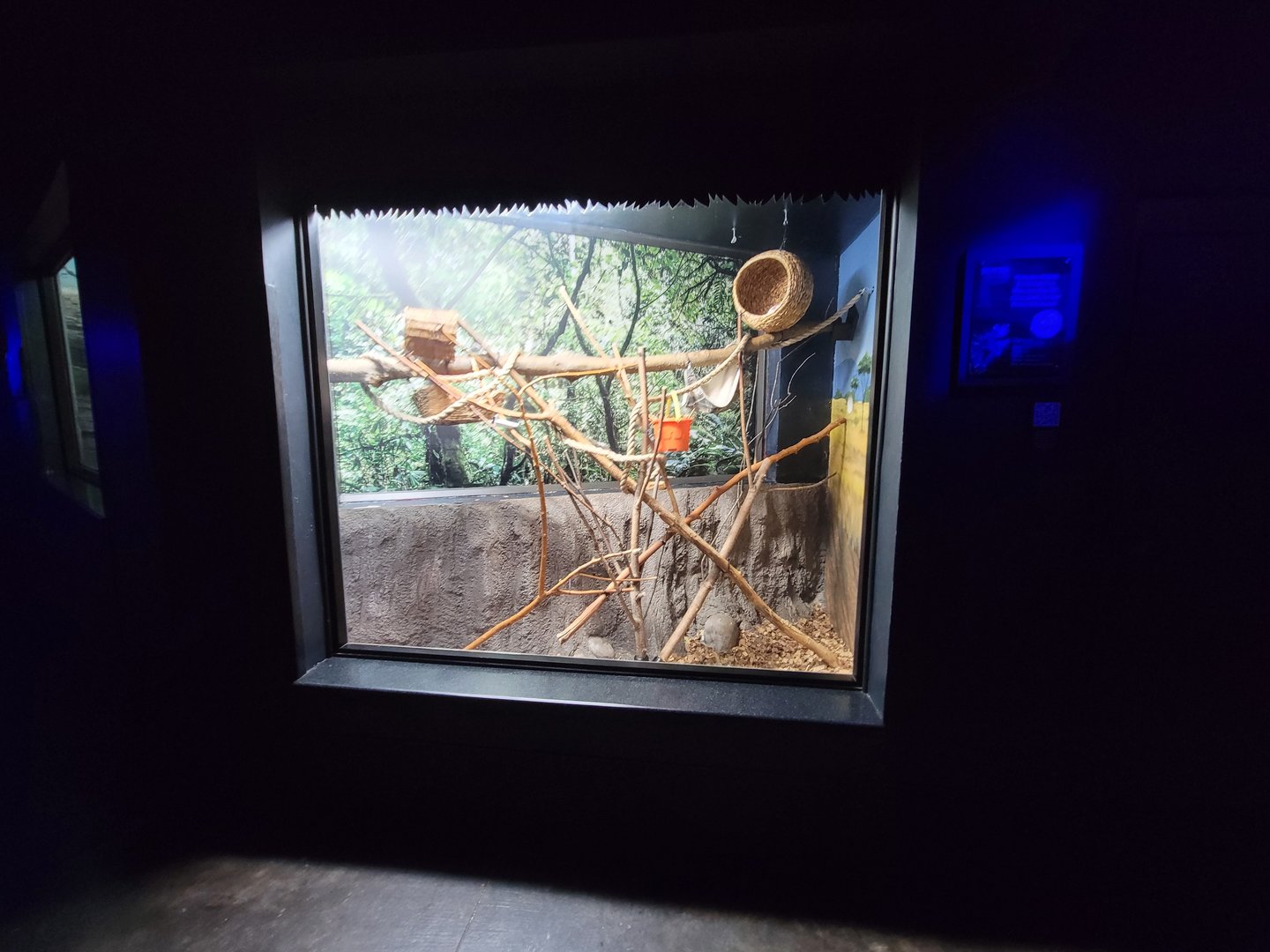 Cincinnati 5/22 - Night Hunters, potto exhibit #2