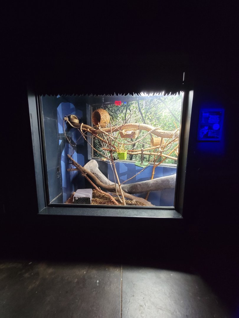 Cincinnati 5/22 - Night Hunters, Potto