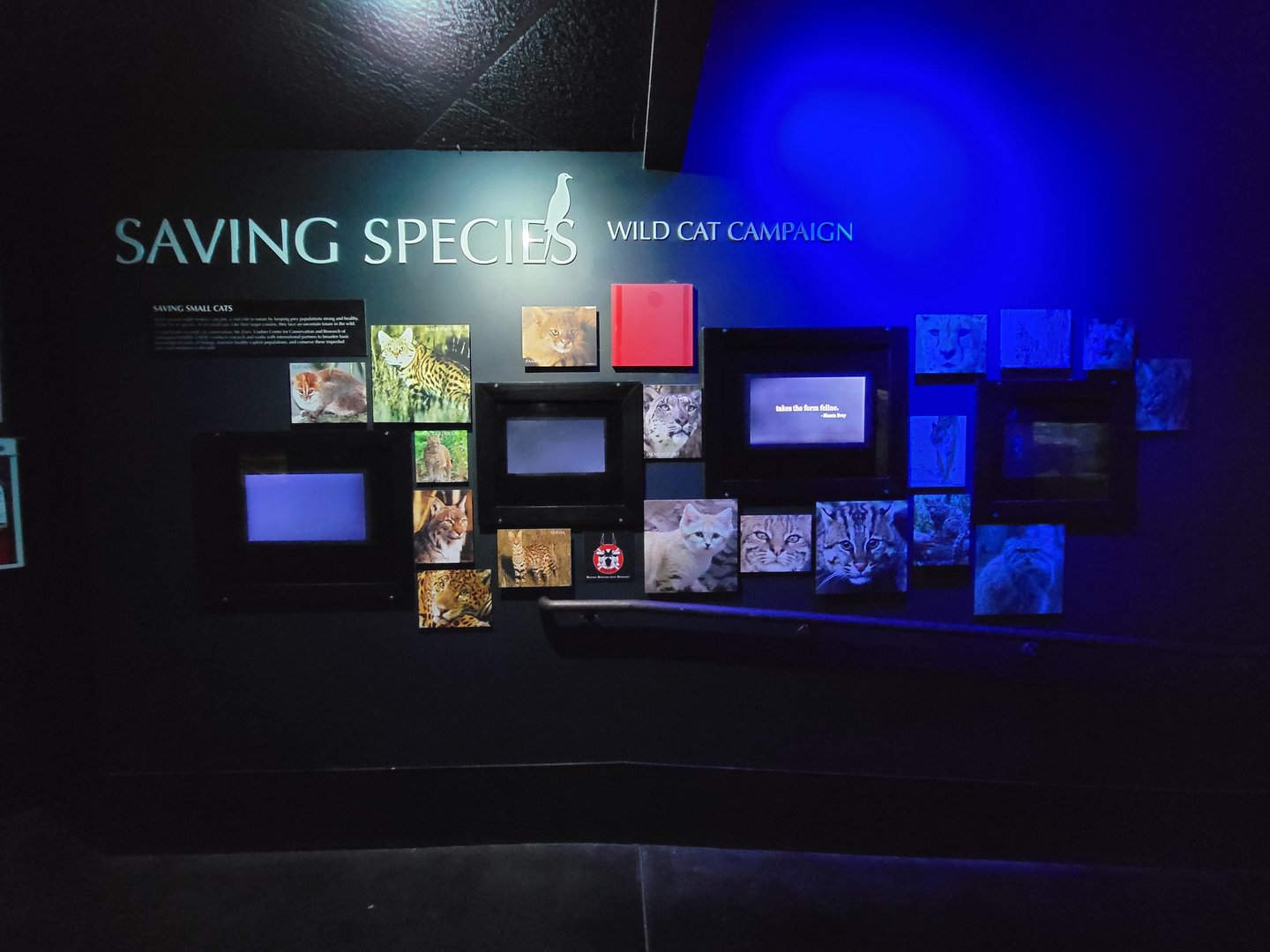 Cincinnati 5/22 - Night Hunters, Saving Species, Wild Cat Campaign