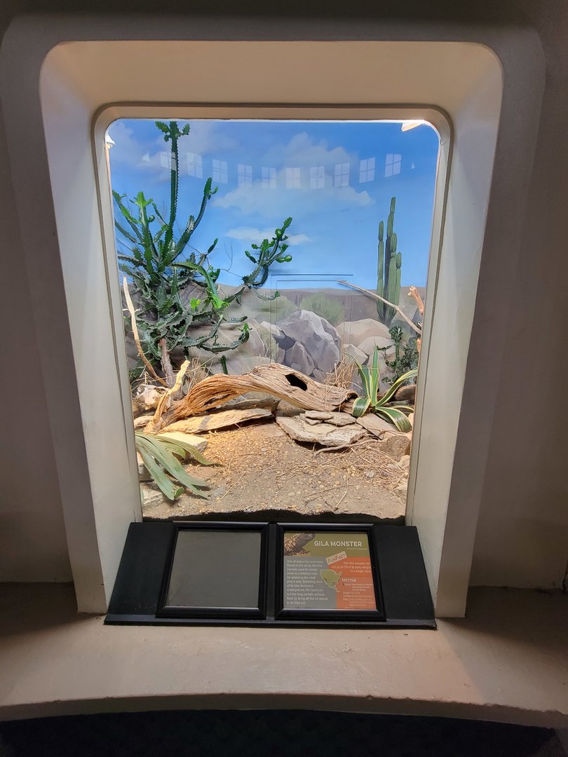 Cincinnati 5/22 - Reptile House, gila monster