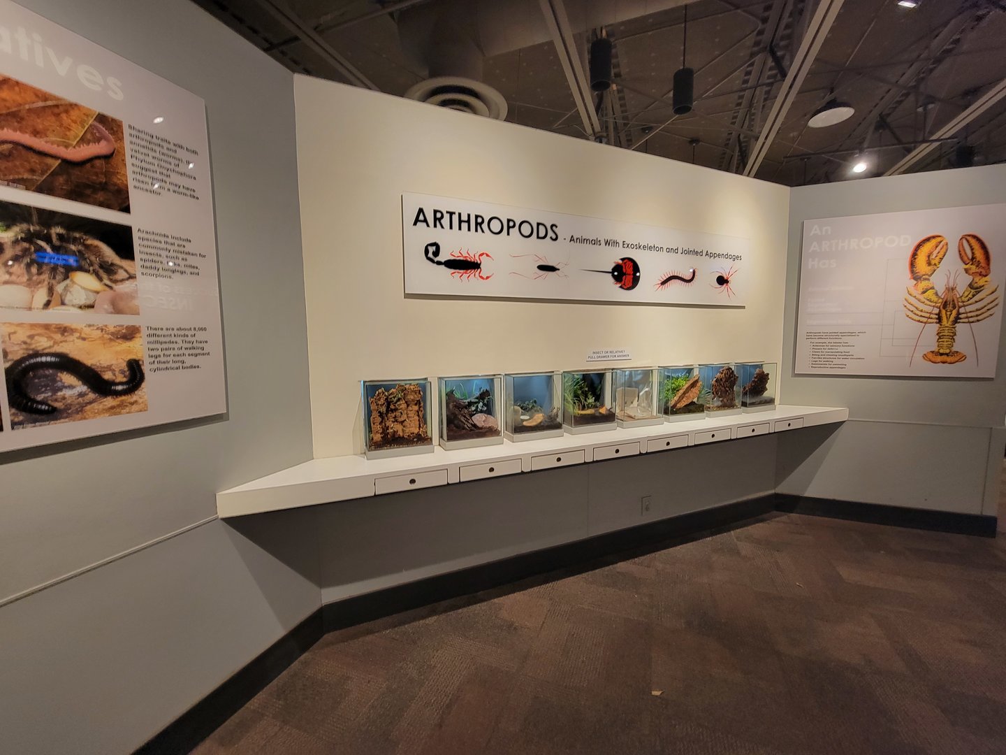 Cincinnati 5/22 - World of Insects, Anthropods