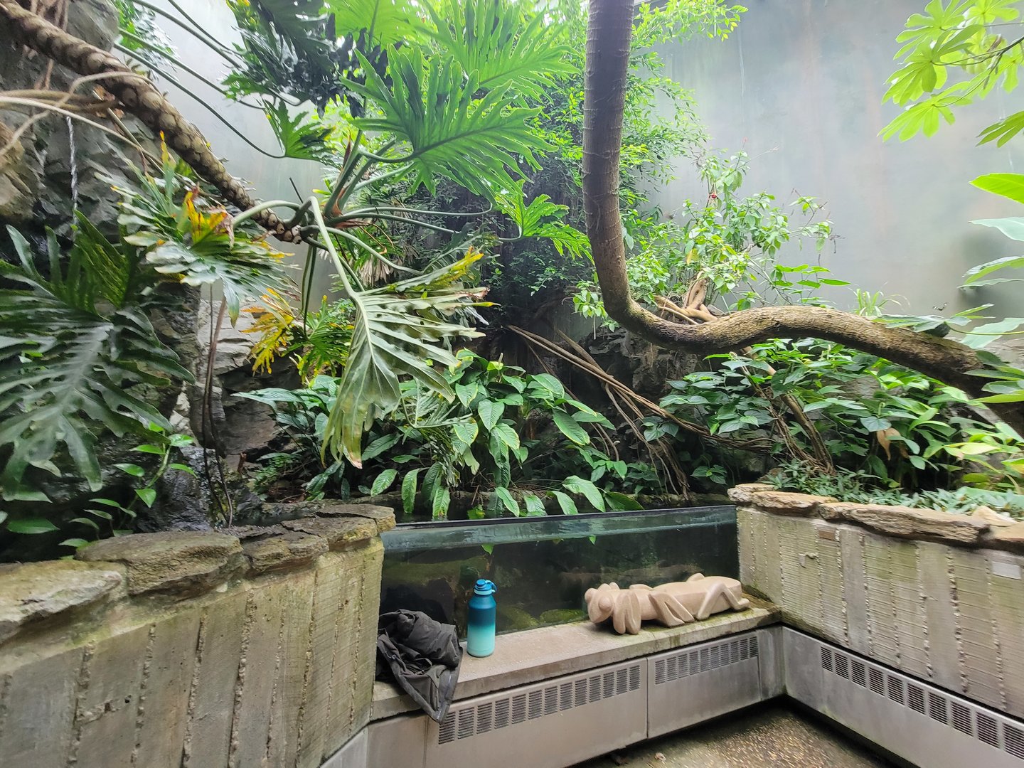 Cincinnati 5/22 - World of Insects, Butterfly walkthrough