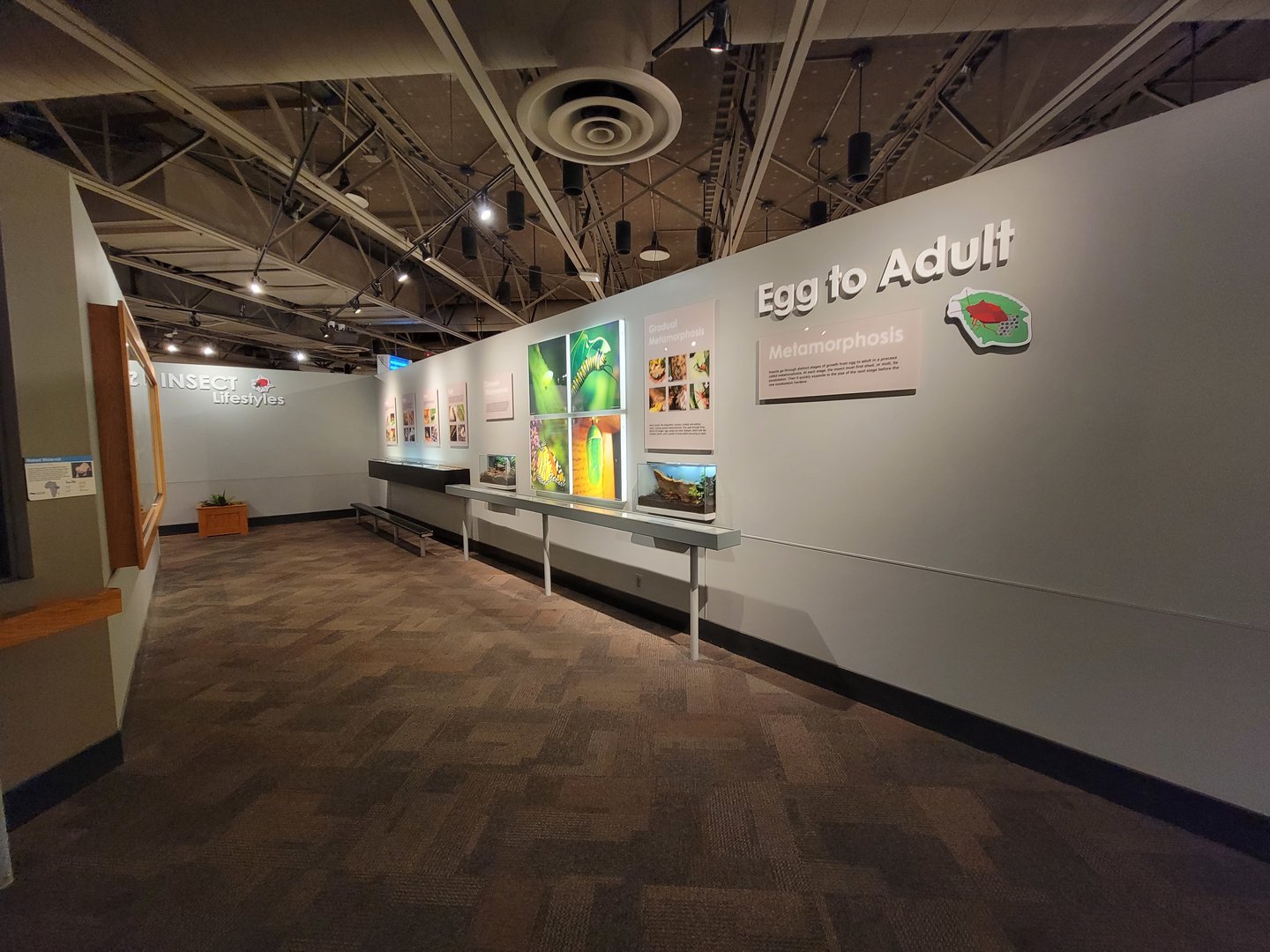 Cincinnati 5/22 - World of Insects, Egg to Adult