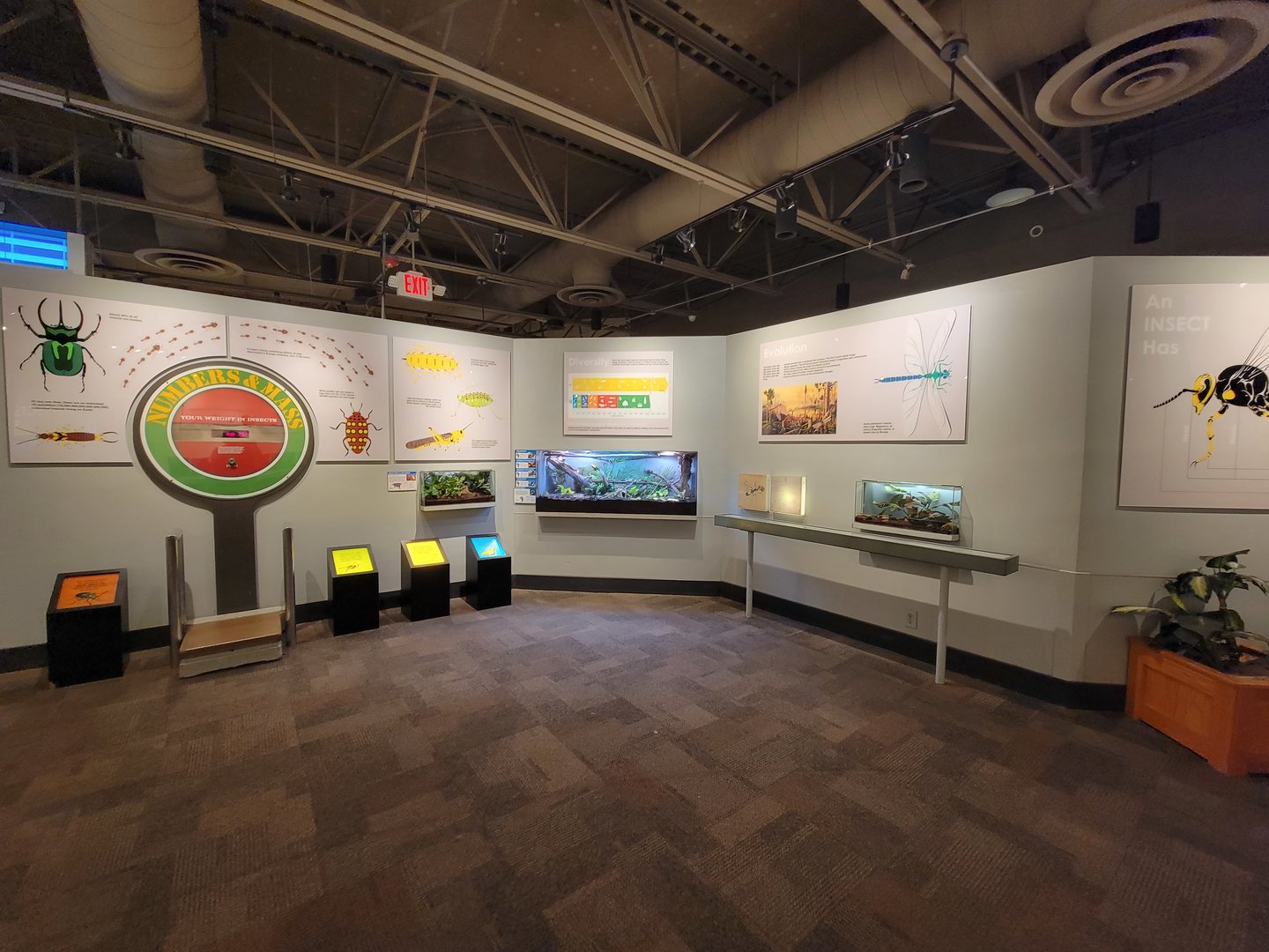 Cincinnati 5/22 - World of Insects, Numbers & Mass