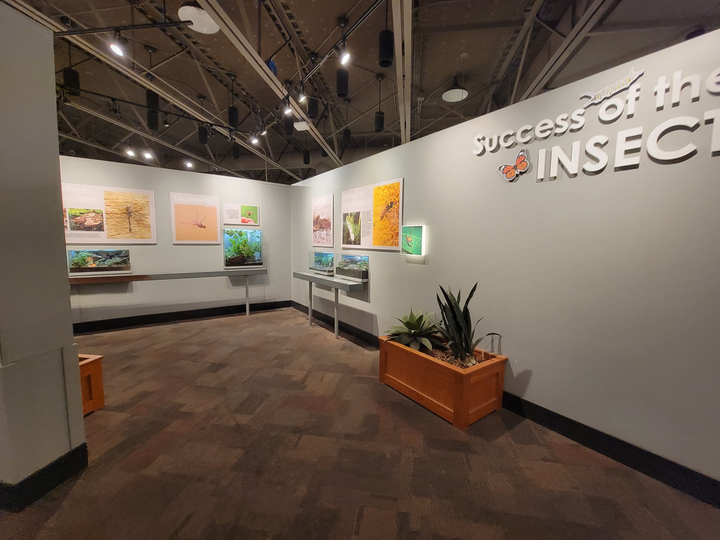 Cincinnati 5/22 - World of Insects, Success of Insects