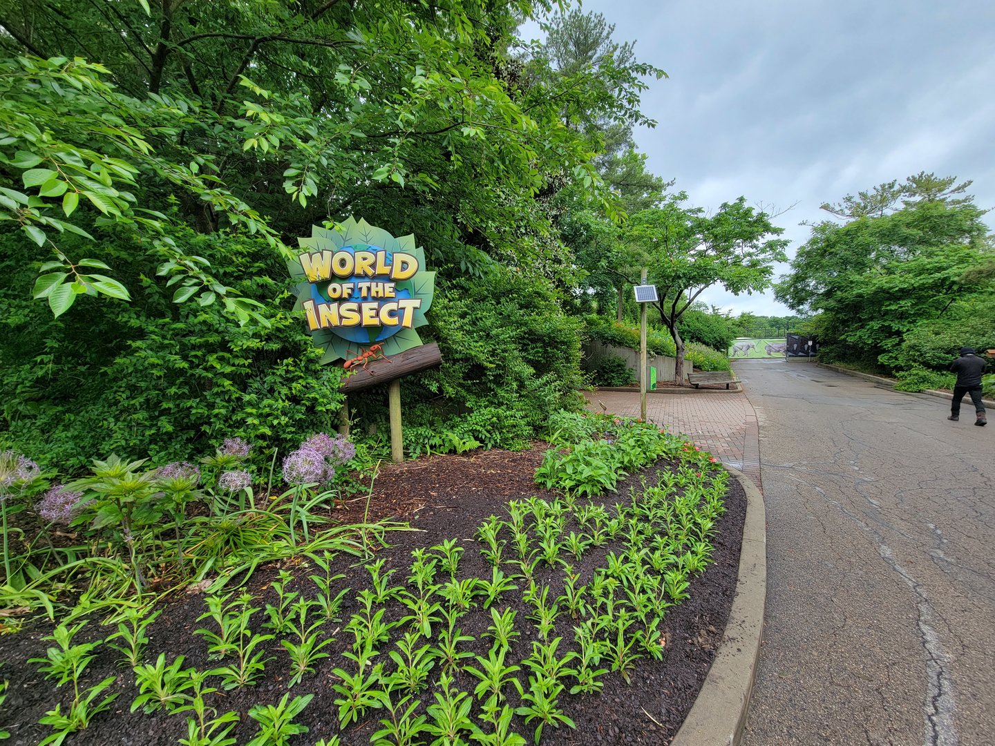 Cincinnati 5/22 - World of Insects