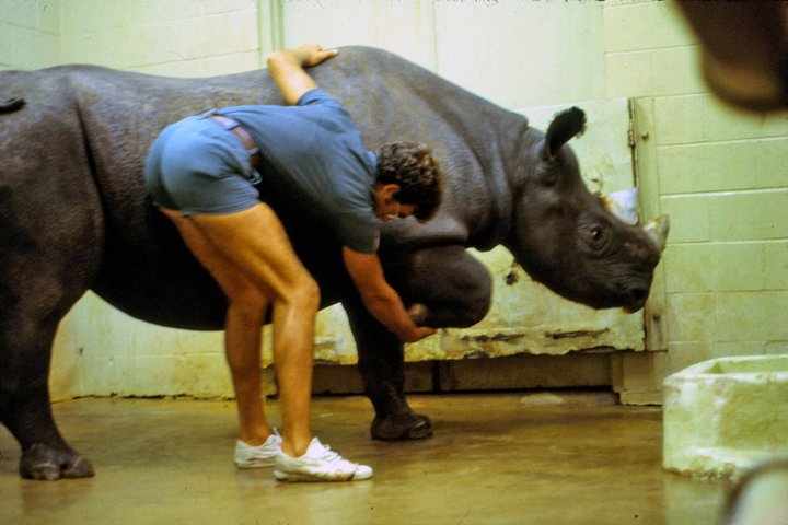 Cincinnati Zoo 1980's
