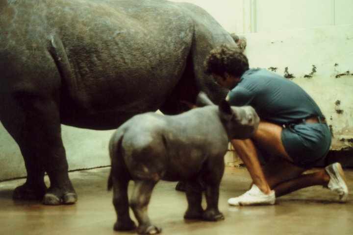 Cincinnati Zoo 1980's