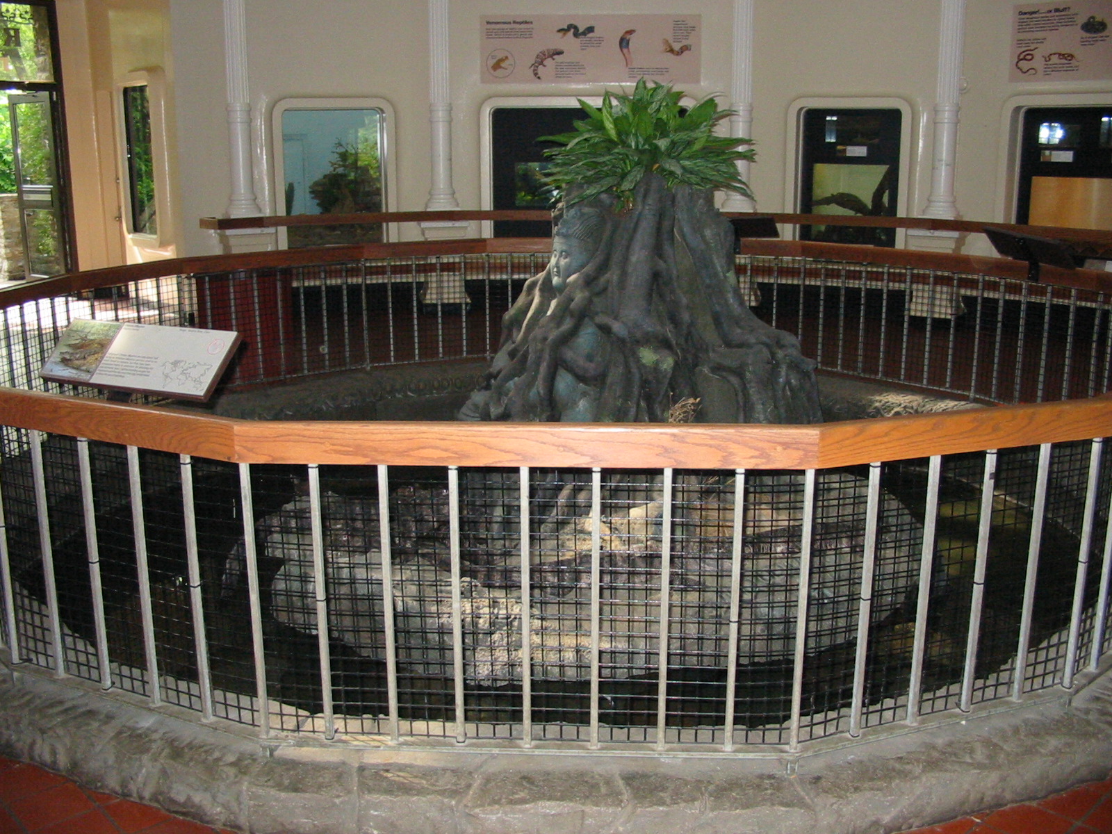 Cincinnati Zoo 2003 - Central exhibit at the Reptile House