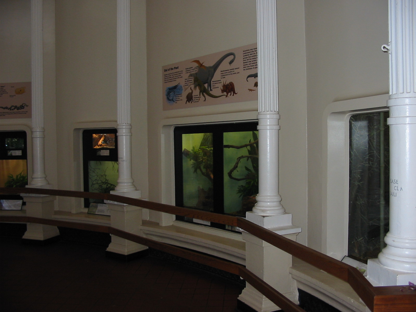 Cincinnati Zoo 2003 - Inside the Reptile House
