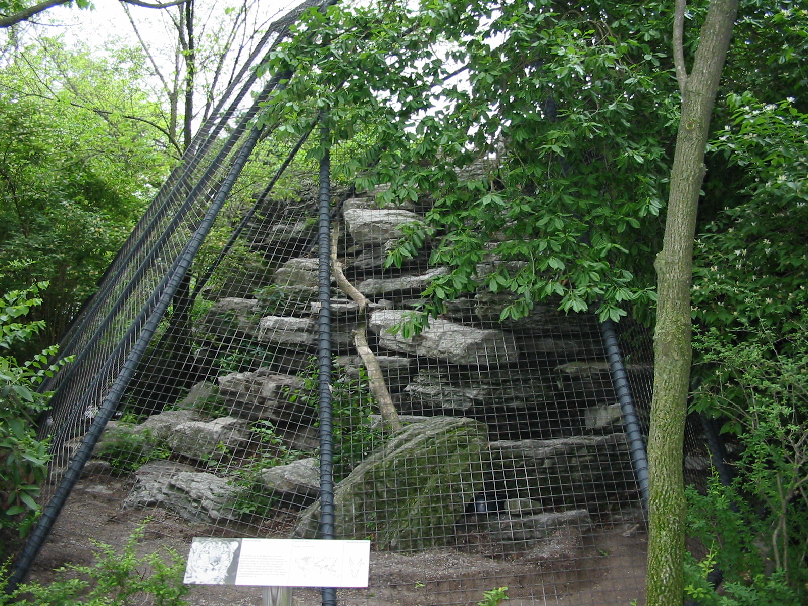 Cincinnati Zoo 2003 - Outdoor Snow Leopard enclosure at the famous Cat Hous