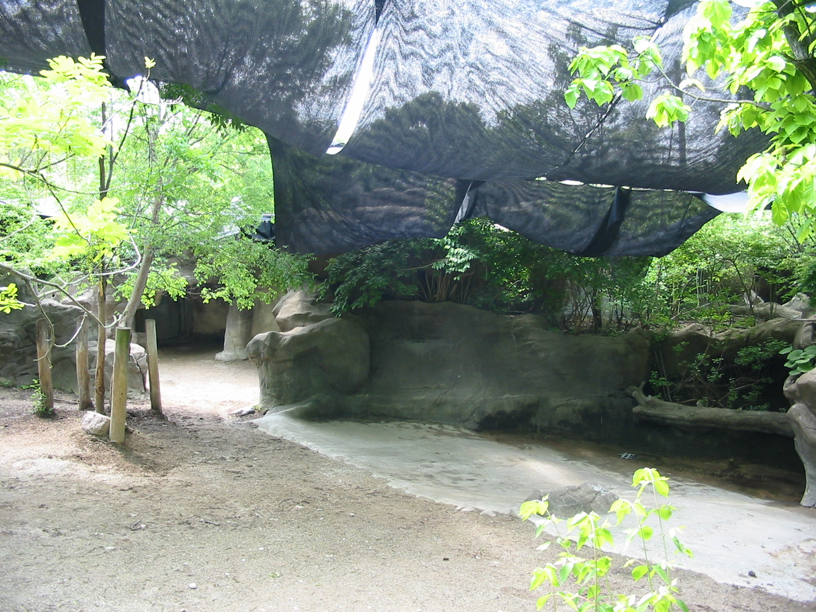 Cincinnati Zoo 2003 - Outdoor Sumatran Rhinoceros exhibit