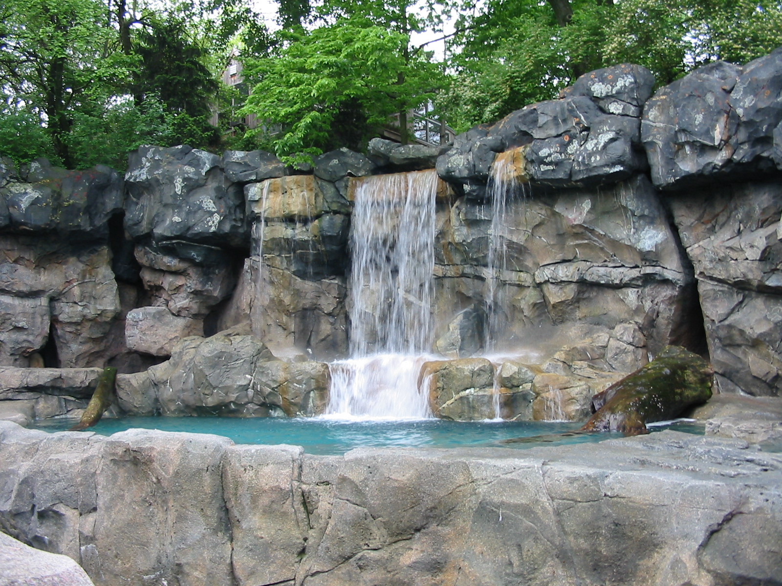 Cincinnati Zoo 2003 - Polar Bear exhibit