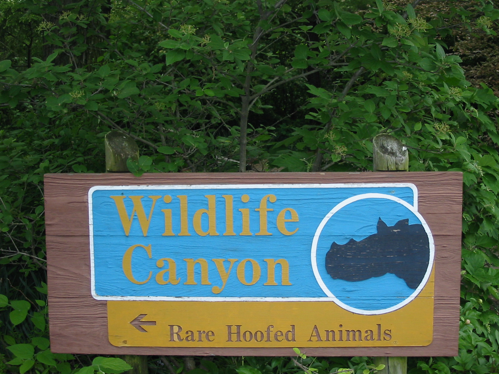 Cincinnati Zoo 2003 - Signpost at the Wildlife Canyon