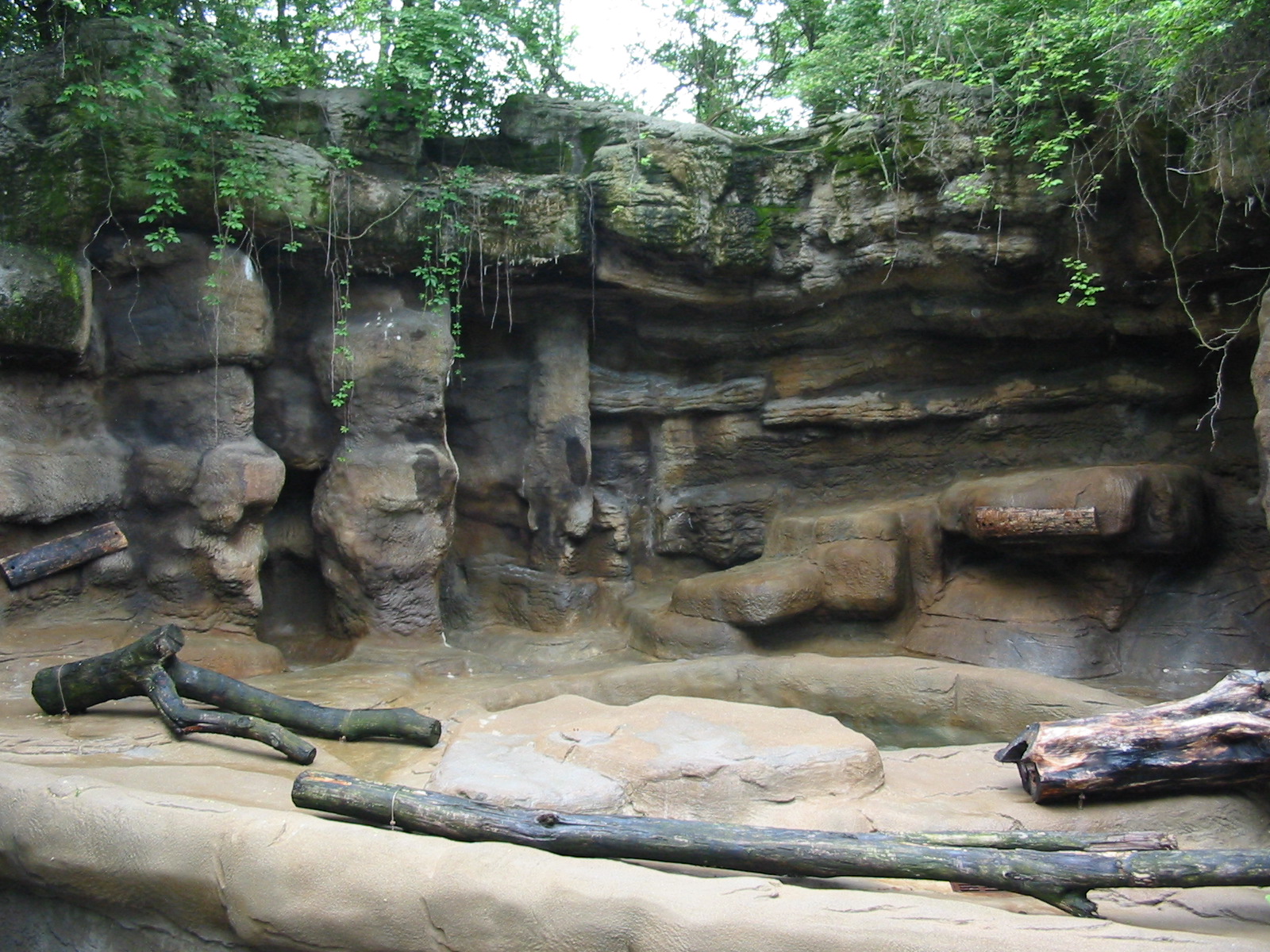Cincinnati Zoo 2003 - Spectacled Bear exhibit?