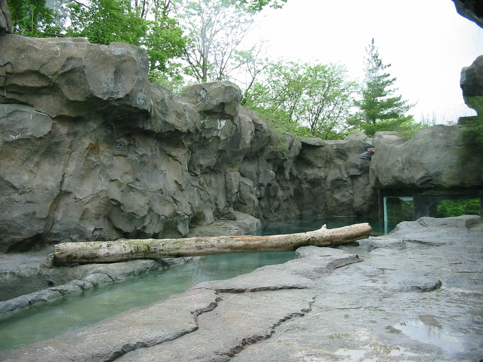 Cincinnati Zoo 2003 - View alongside the first Polar Bear exhibit