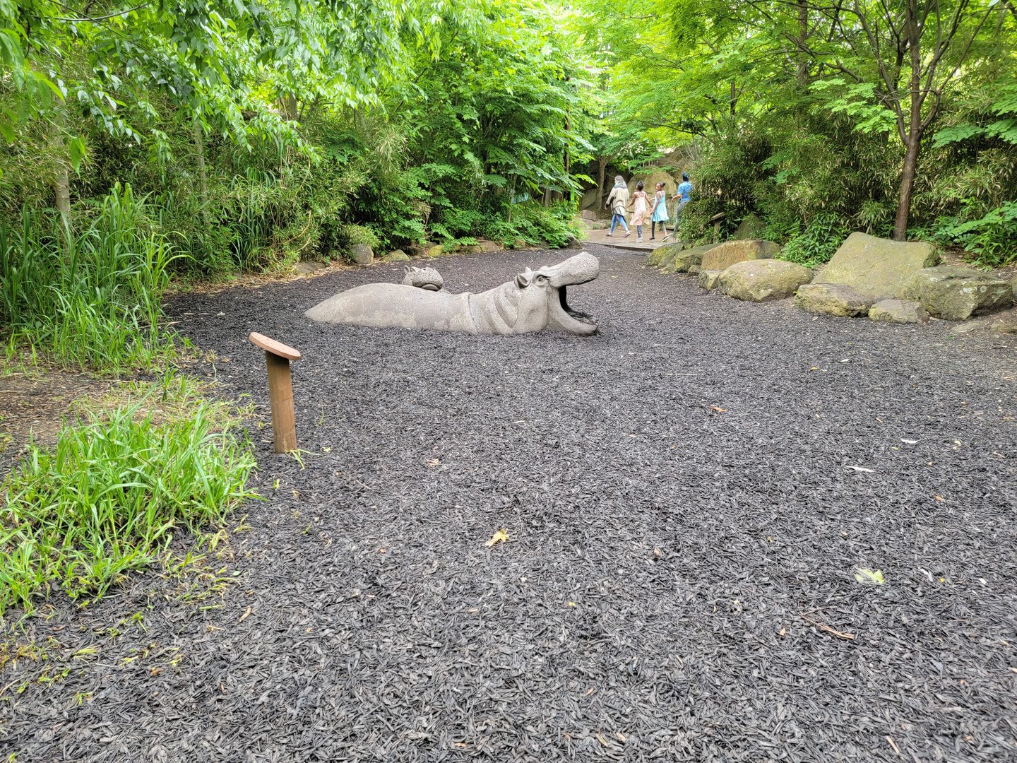 Cincinnati Zoo 5/22 - Africa, hippo statues for climbing