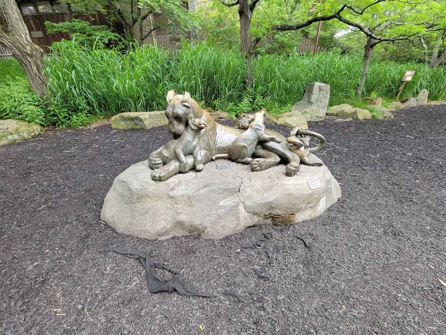Cincinnati Zoo 5/22 - Africa, lion statue