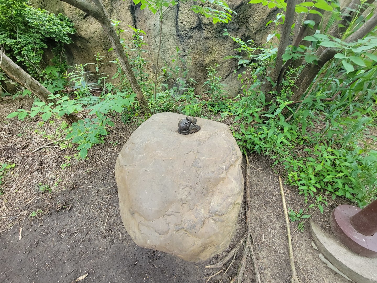 Cincinnati Zoo 5/22 - Africa, stag beetle statue by meerkats
