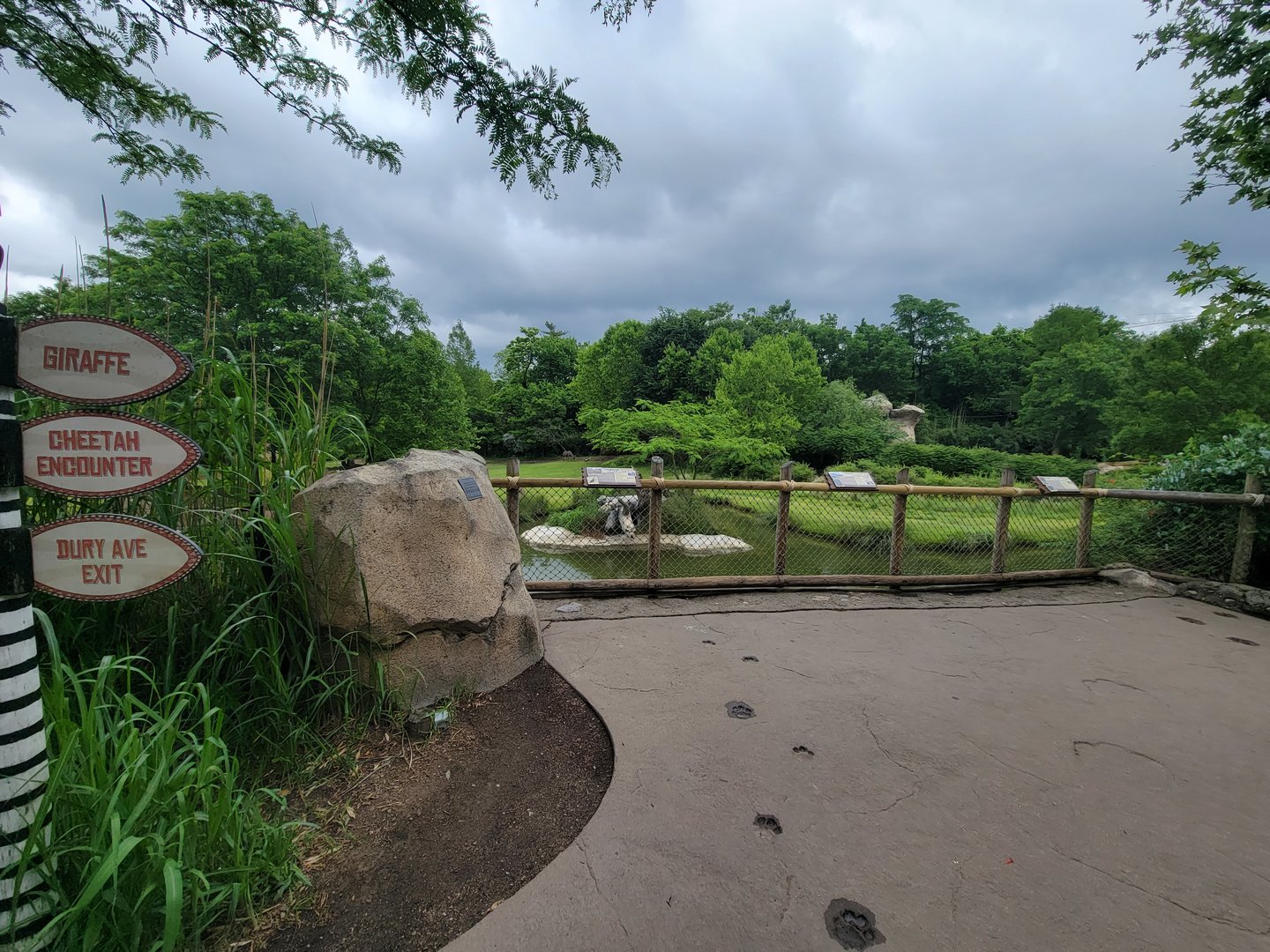 Cincinnati Zoo 5/22 - Africa