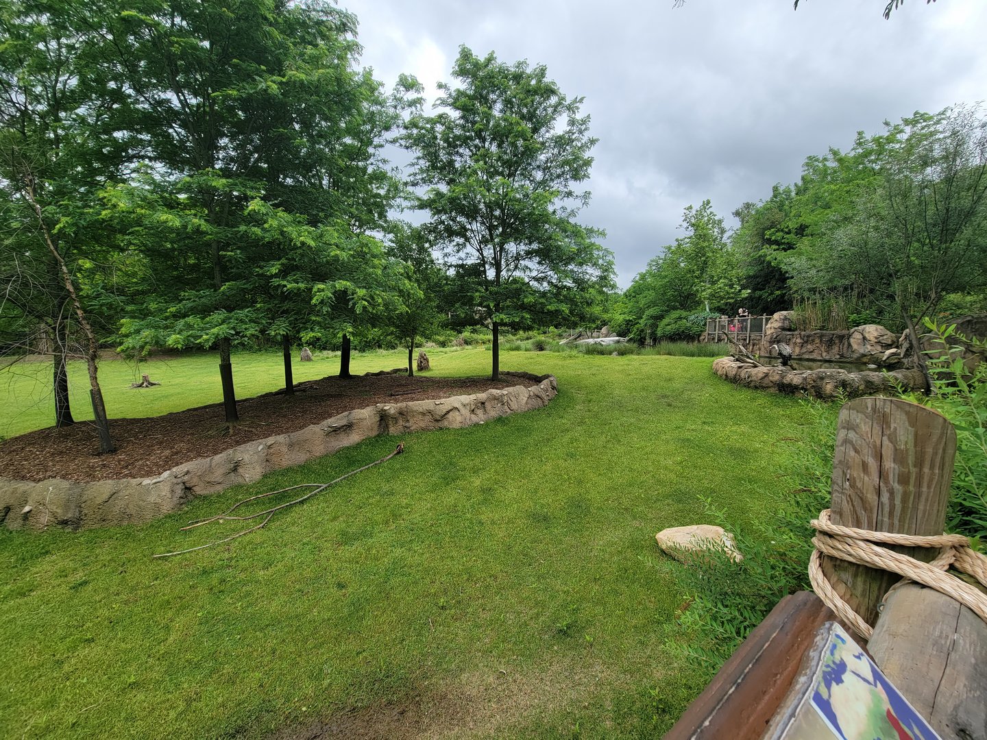 Cincinnati Zoo 5/22 - Africa