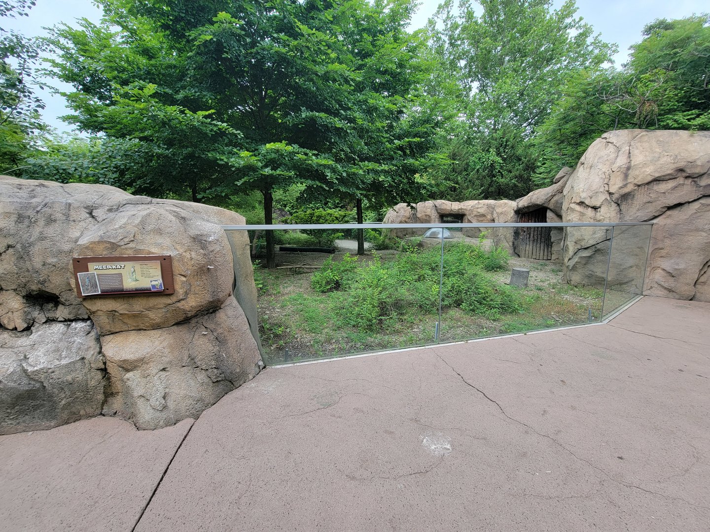 Cincinnati Zoo 5/22 - Africa,