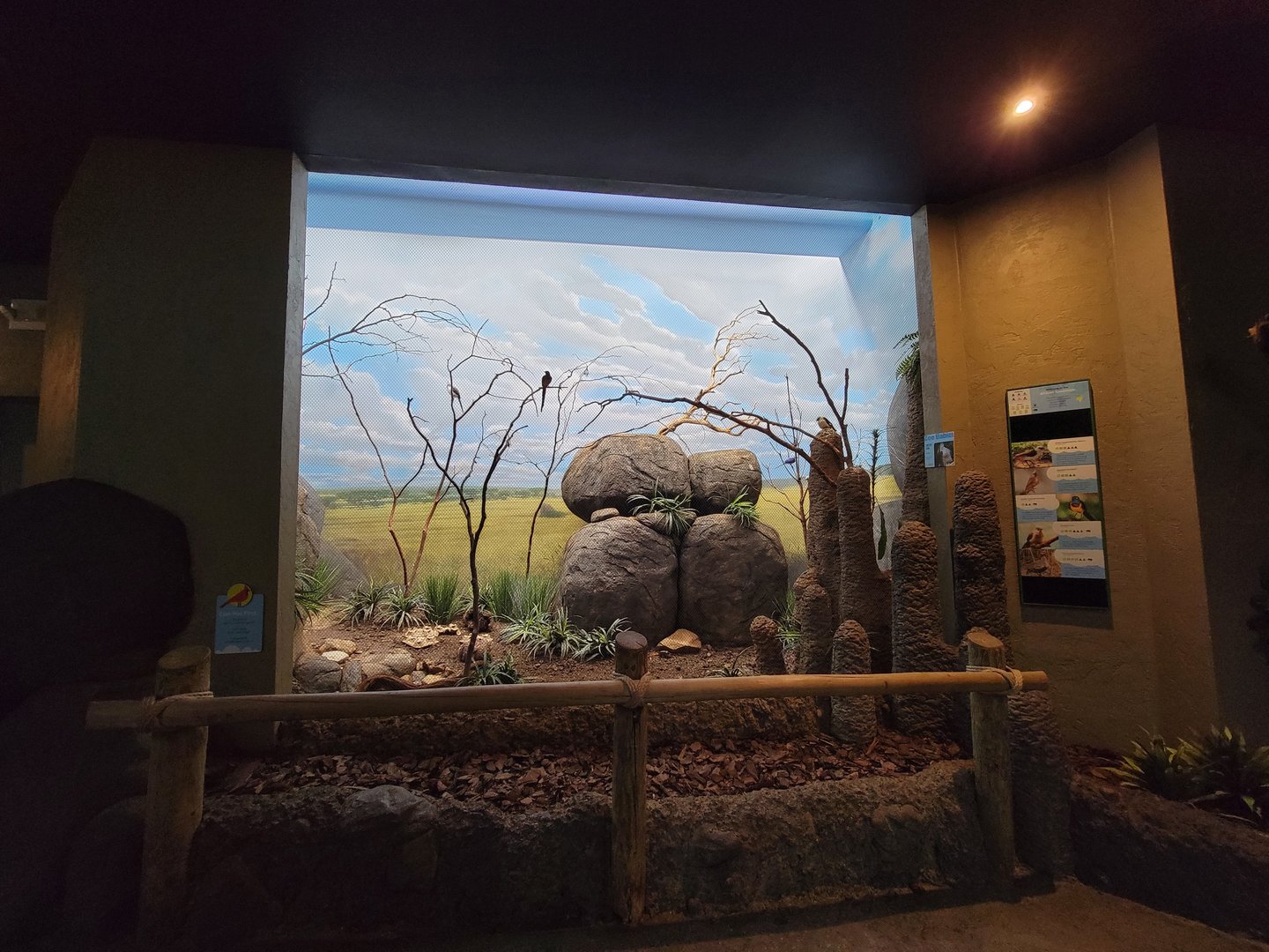 Cincinnati Zoo 5/22 - Birds of the World, African Savannah aviary