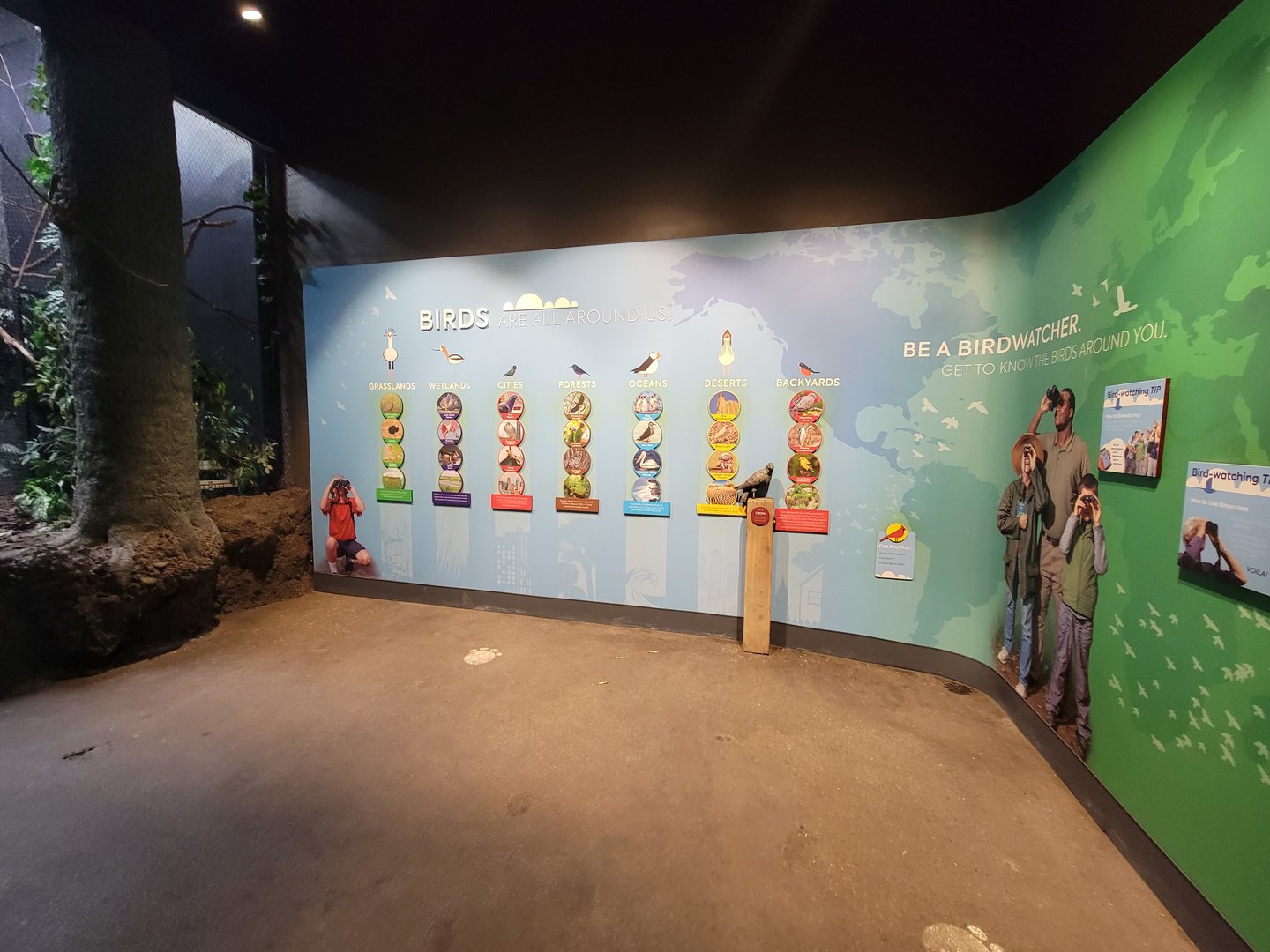 Cincinnati Zoo 5/22 - Birds of the World, Be a Birdwatcher