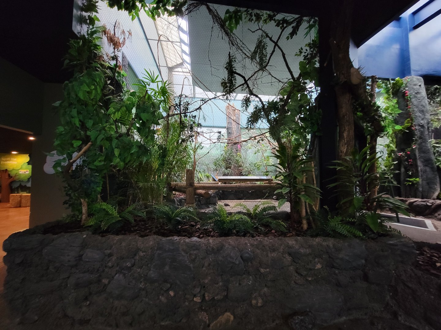 Cincinnati Zoo 5/22 - Birds of the World, closed aviary