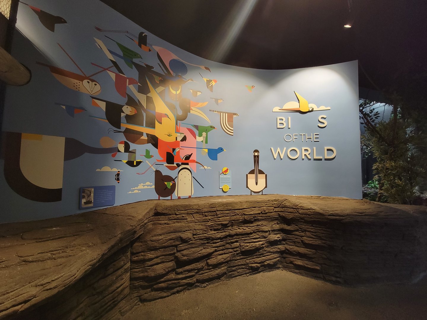 Cincinnati Zoo 5/22 - Birds of the World, or rather, Bis of the World