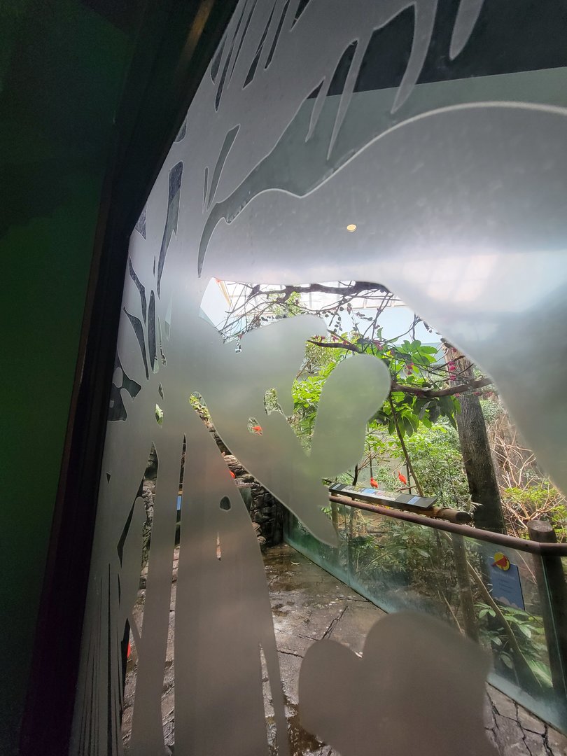 Cincinnati Zoo 5/22 - Birds of the World, walk-through aviary closed