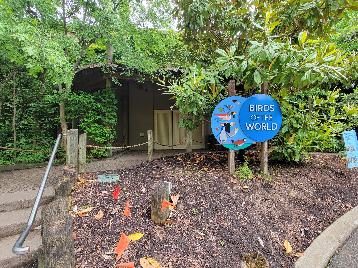 Cincinnati Zoo 5/22 - Birds of the World