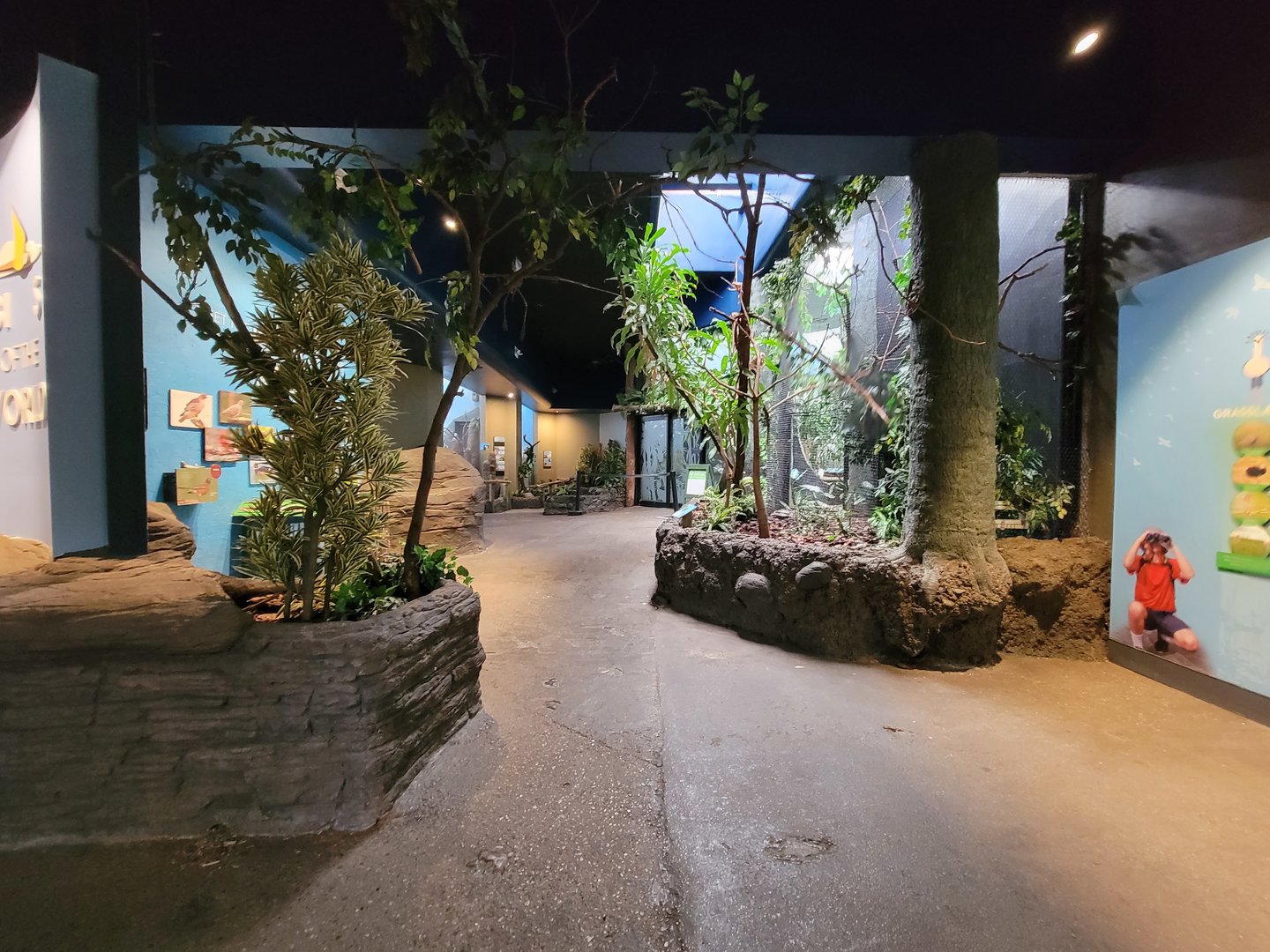 Cincinnati Zoo 5/22 - Birds of the World