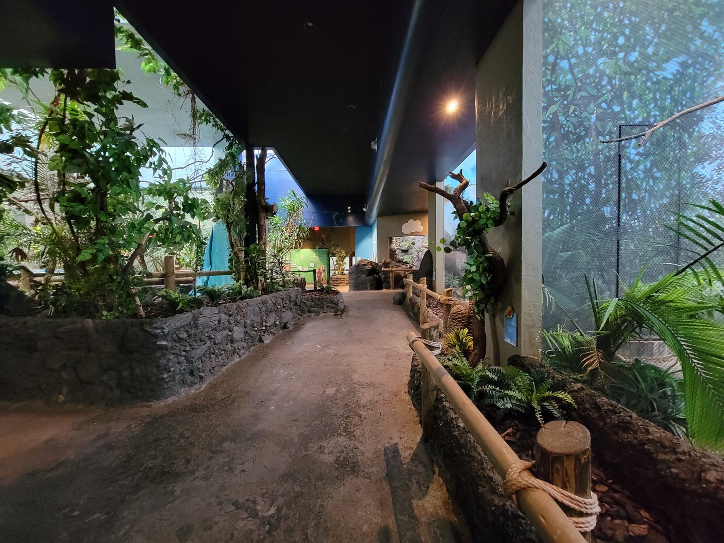 Cincinnati Zoo 5/22 - Birds of the World