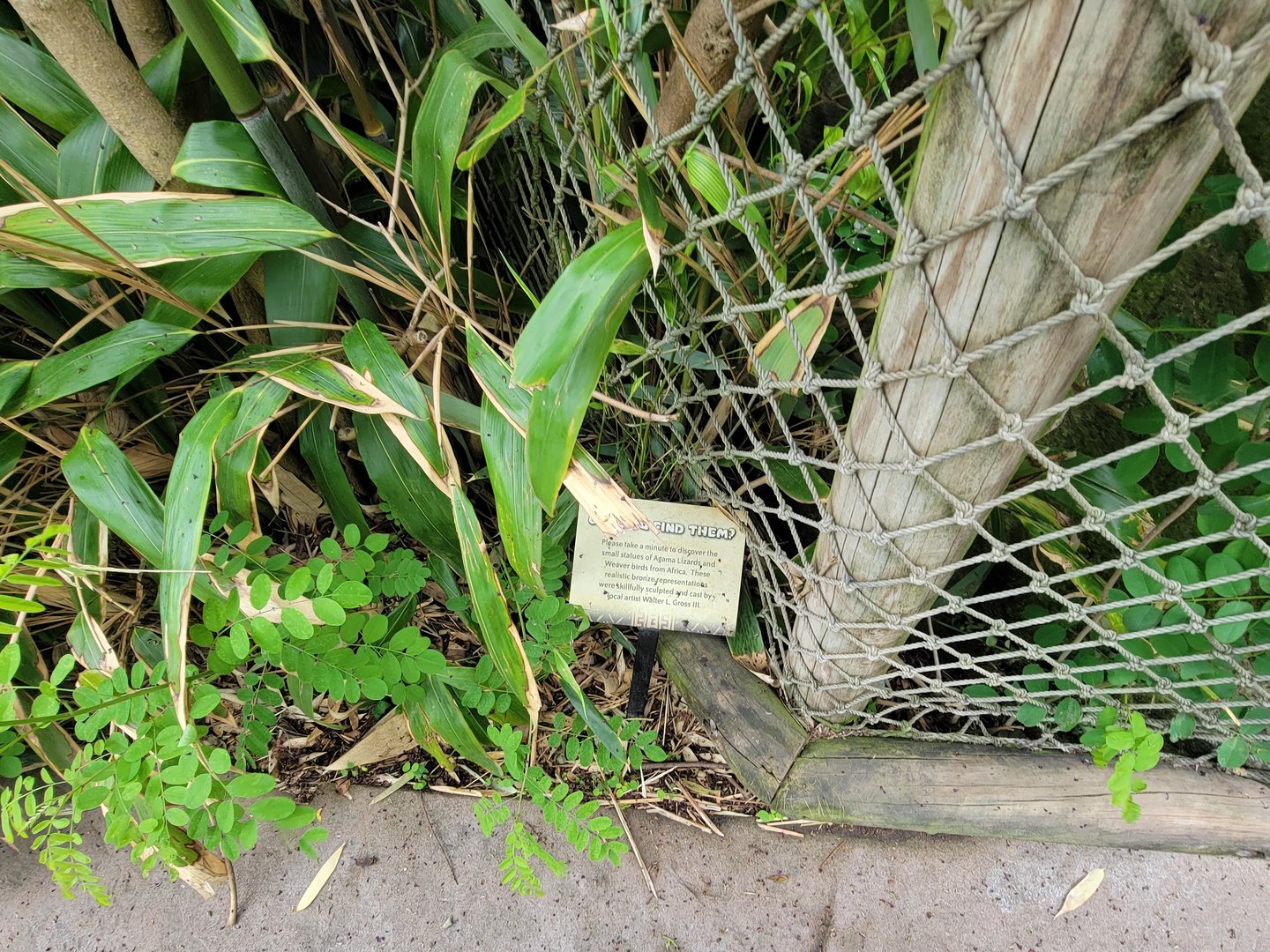 Cincinnati Zoo 5/22 - Can You Find Them?