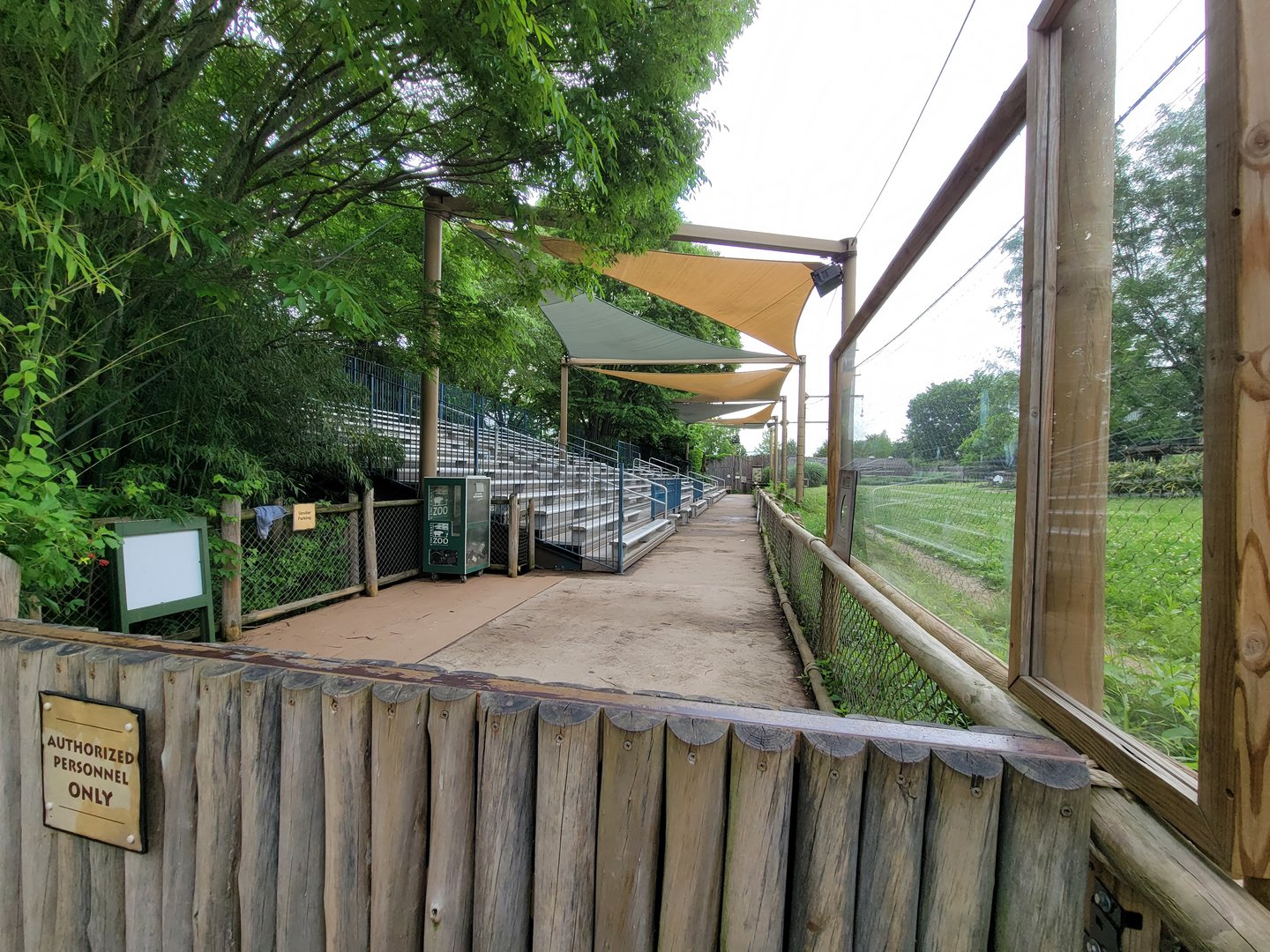 Cincinnati Zoo 5/22 - Cheetah Encounter, bleachers