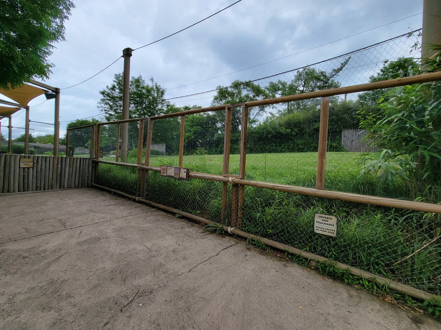 Cincinnati Zoo 5/22 - Cheetah Encounter, run area